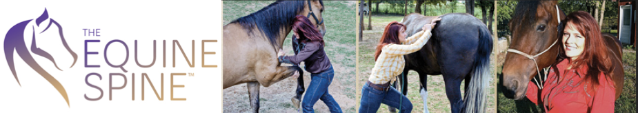 Equine, Feline & Canine Spine Adjustment, The Equine Spine Fort Worth & Weatherford, Justin